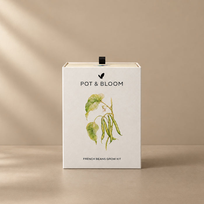 French Beans Grow Kit