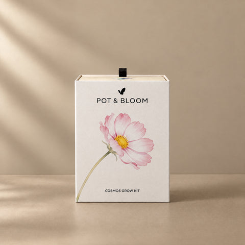Cosmos Grow Kit