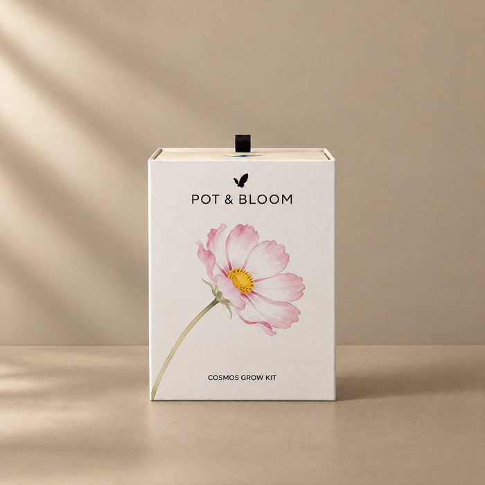 Cosmos Grow Kit