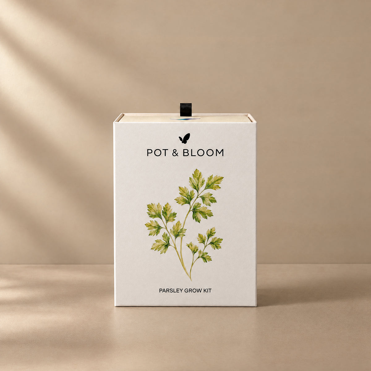 Parsley Grow Kit