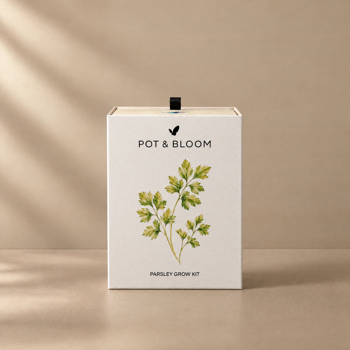 Parsley Grow Kit