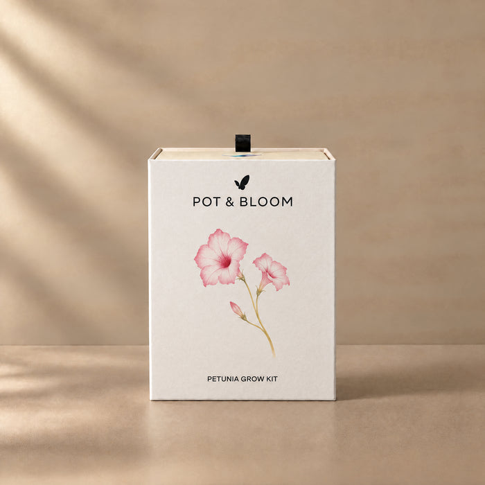 Petunia Grow Kit