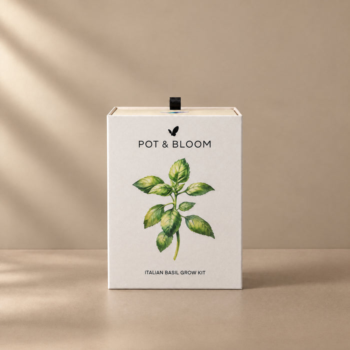 Italian Basil Kit