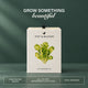 Lettuce Grow Kit (4 Inch Kit)