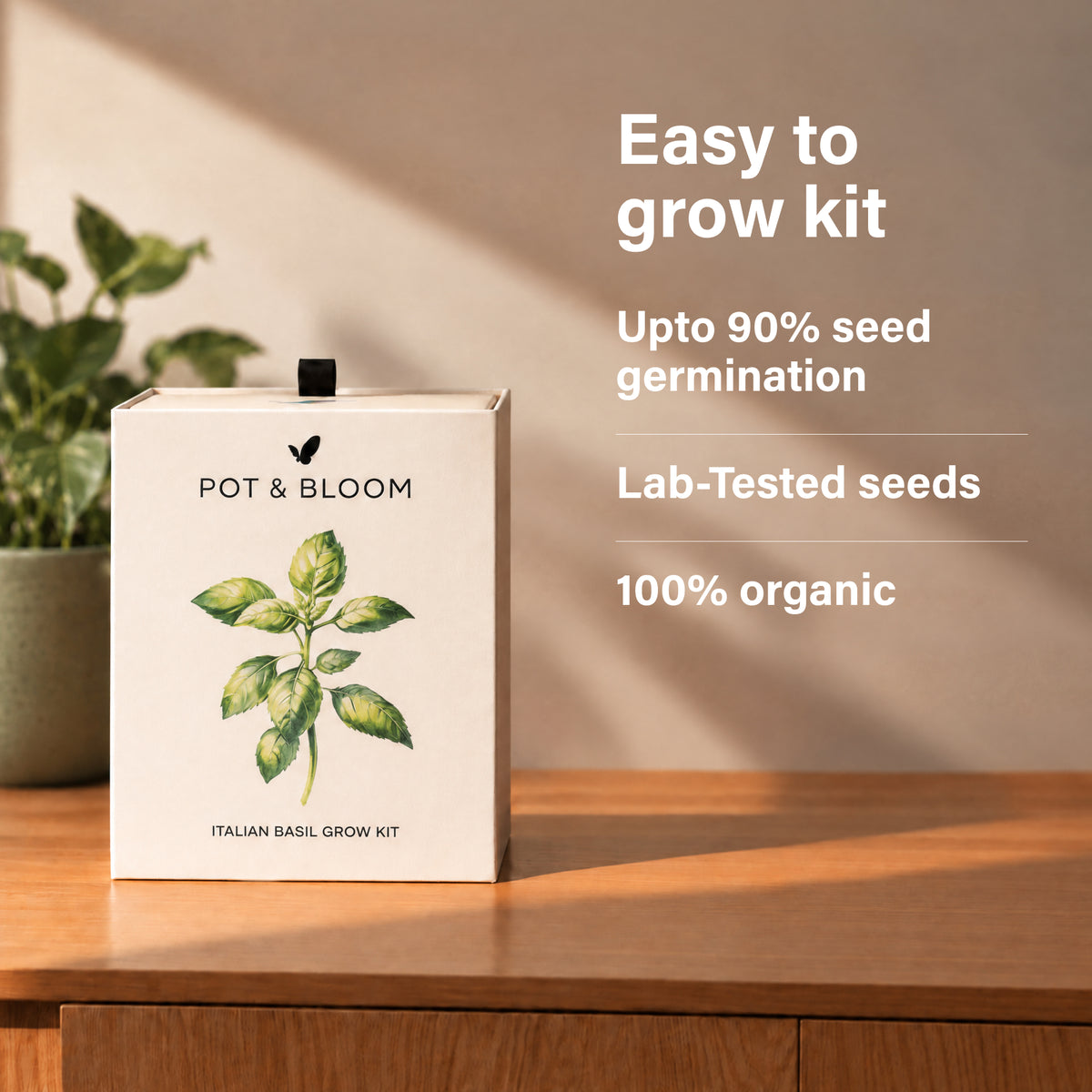 Italian Basil Kit