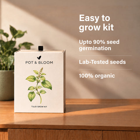 Tulsi Grow Kit