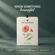 Zinnia Grow Kit  (4 Inch Kit)