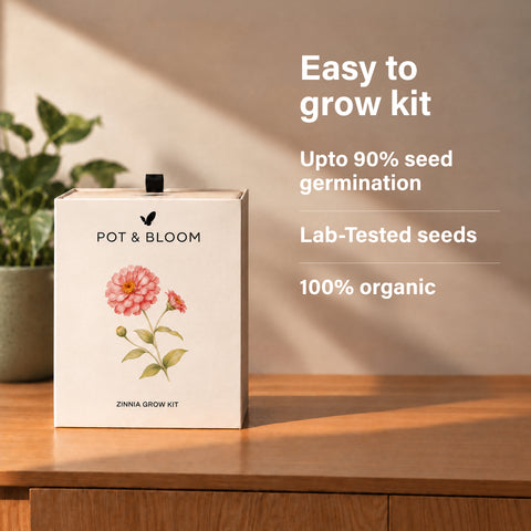 Zinnia Grow Kit