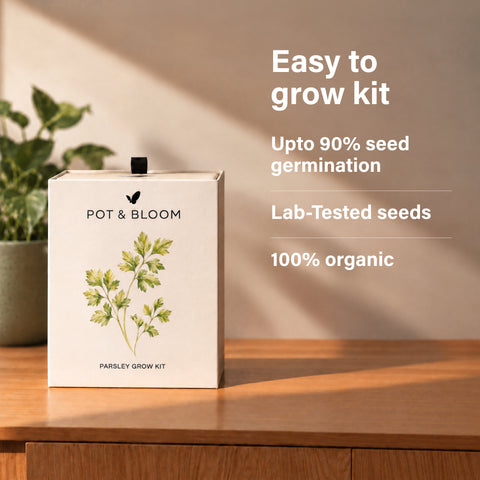 Parsley Grow Kit