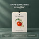 Cherry Tomato Grow Kit (4 Inch Kit)