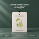 French Beans Grow Kit  (4 Inch Kit)
