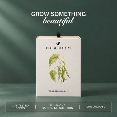 French Beans Grow Kit  (4 Inch Kit)