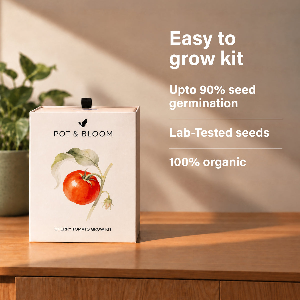 Cherry Tomato Grow Kit