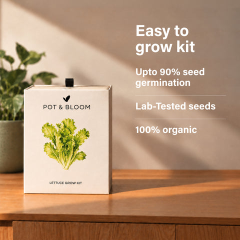 Lettuce Grow Kit
