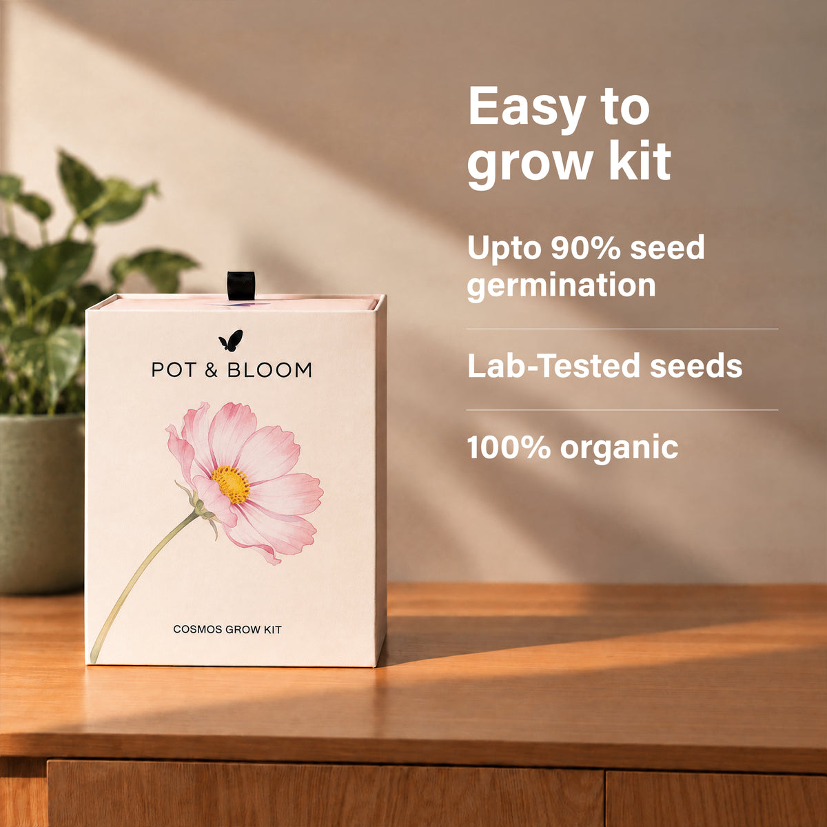 Cosmos Grow Kit