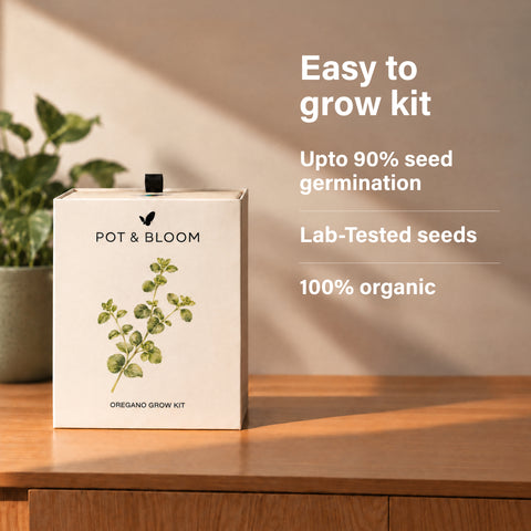 Oregano Kit