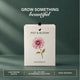 Dahlia Grow Kit (4 Inch Kit)