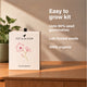 Petunia Grow Kit