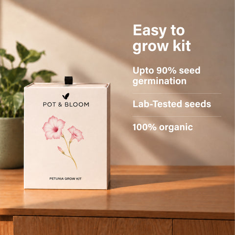 Petunia Grow Kit