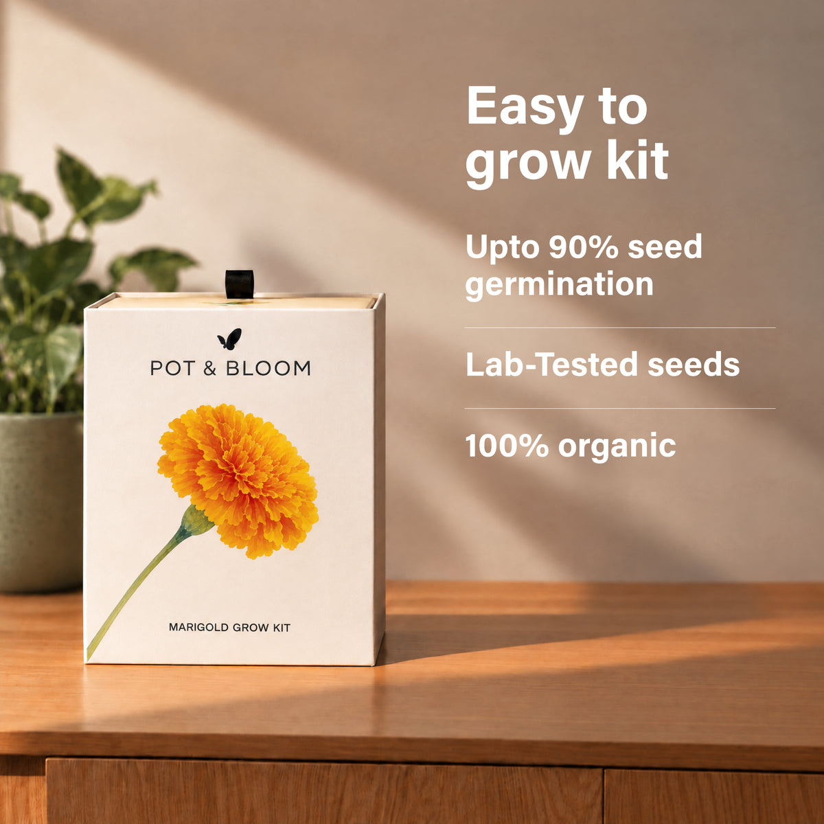 Marigold Grow Kit