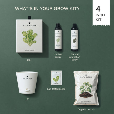 Lettuce Grow Kit (4 Inch Kit)