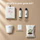 Petunia Grow Kit