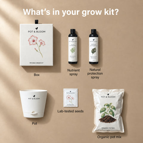 Petunia Grow Kit