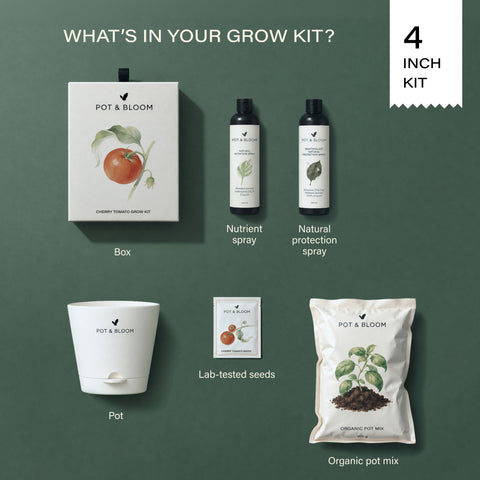 Cherry Tomato Grow Kit (4 Inch Kit)