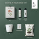 Zinnia Grow Kit  (4 Inch Kit)