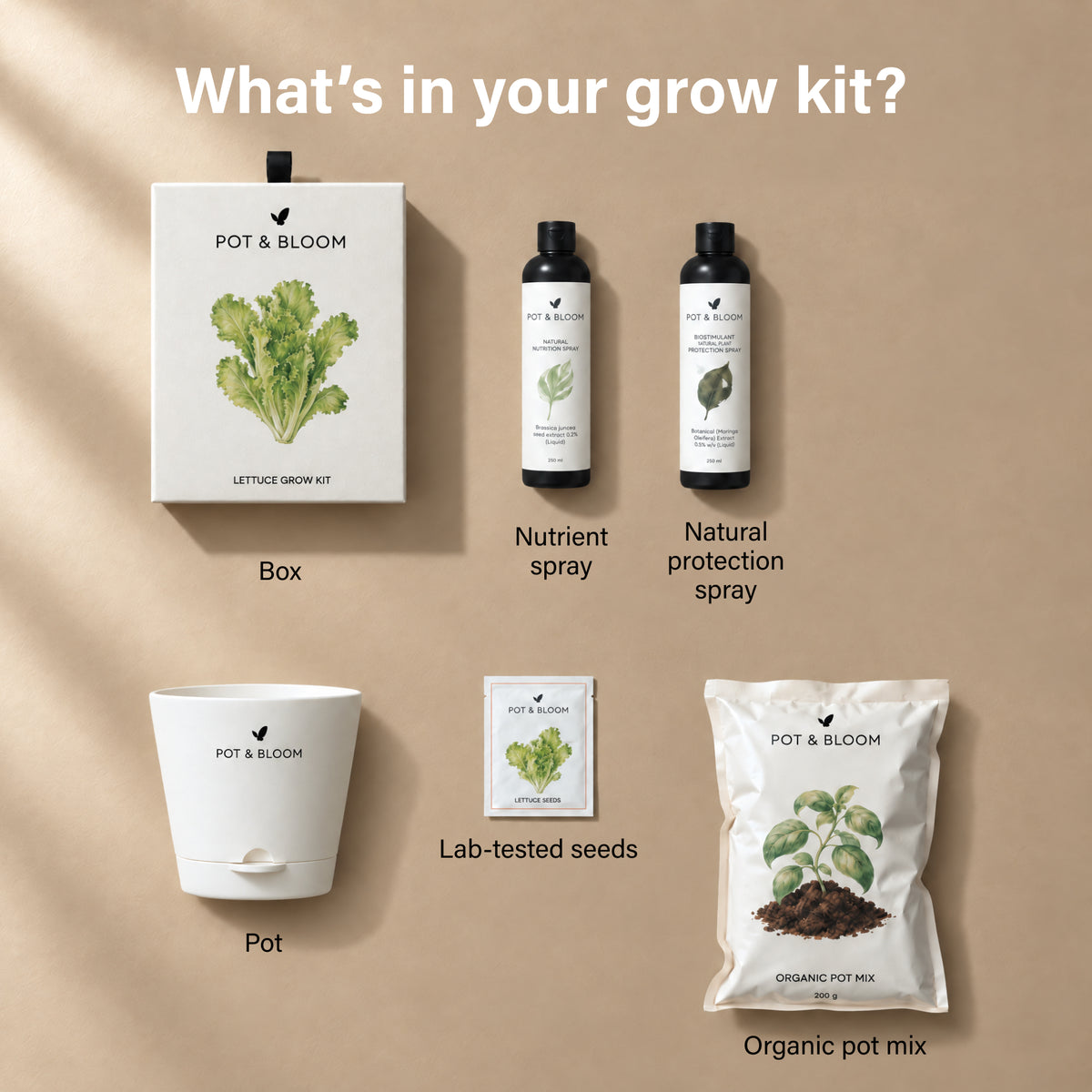 Lettuce Grow Kit