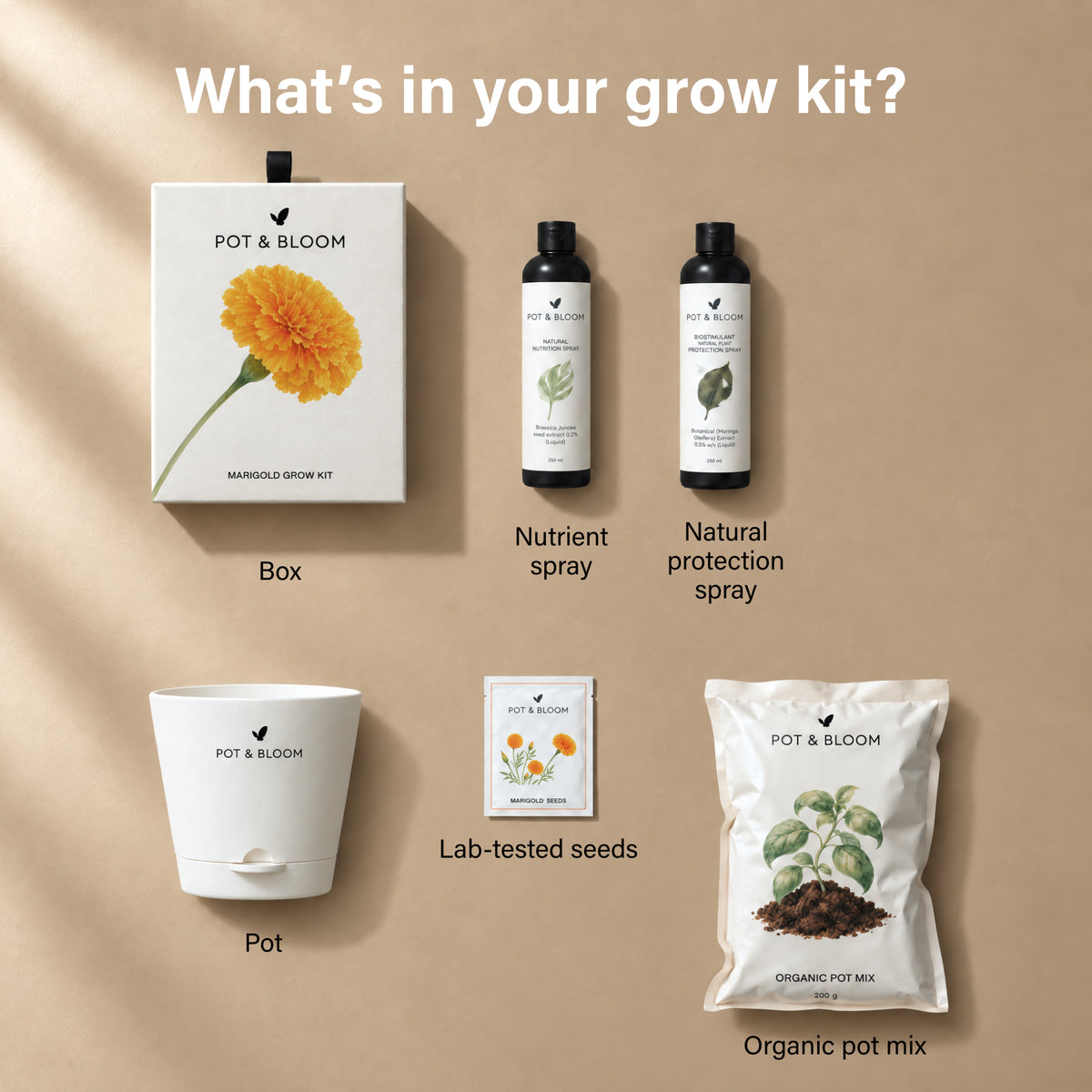 Marigold Grow Kit