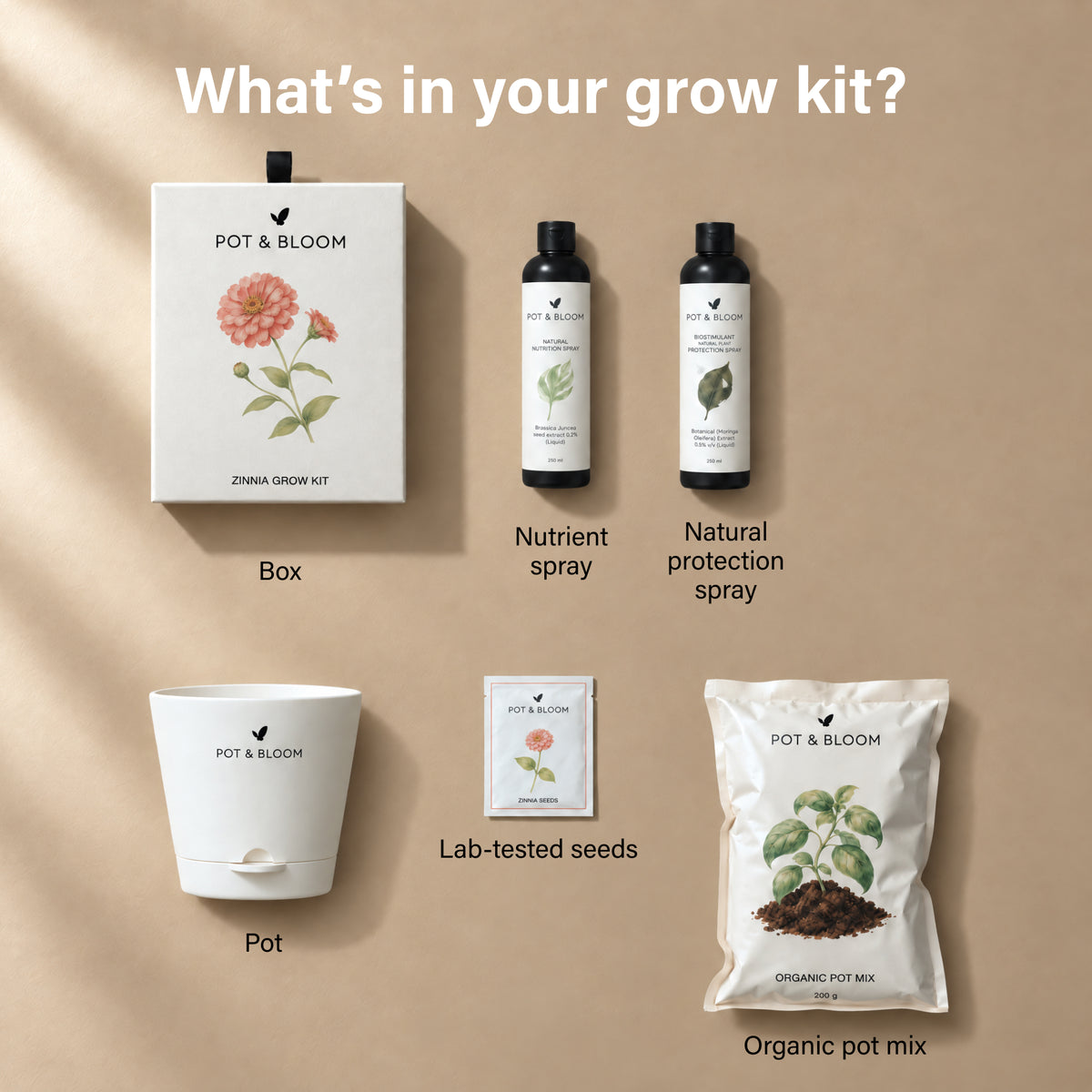 Zinnia Grow Kit