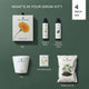 Marigold Grow Kit (4 Inch Kit)