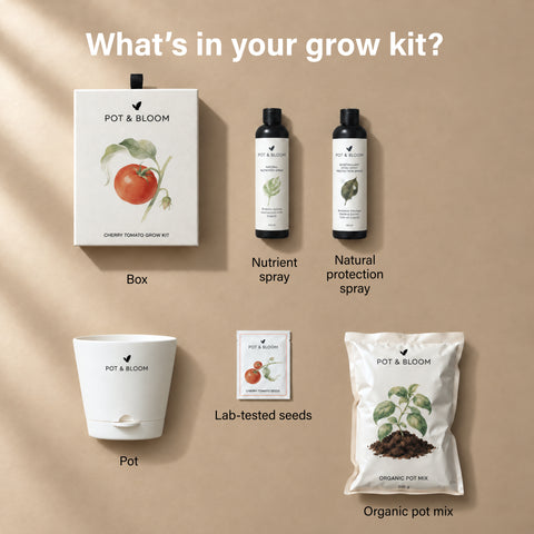 Cherry Tomato Grow Kit