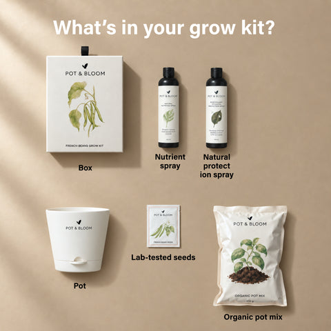 French Beans Grow Kit