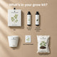 Parsley Grow Kit