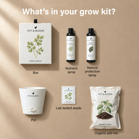 Parsley Grow Kit