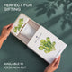 Lettuce Grow Kit (4 Inch Kit)