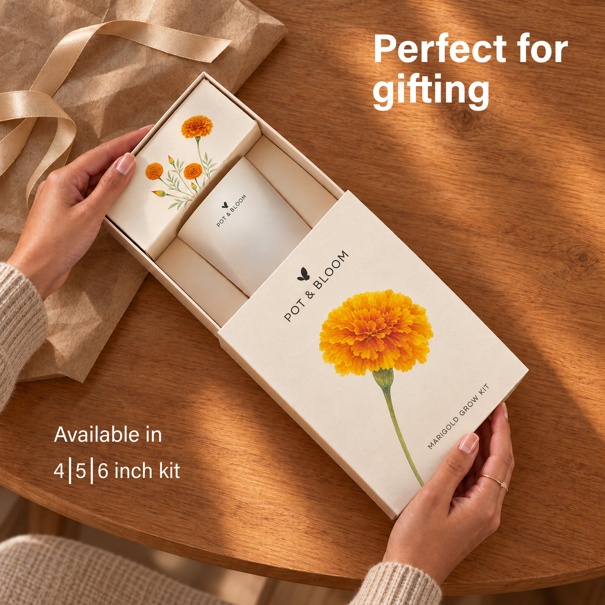 Marigold Grow Kit