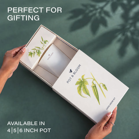 Okra Grow Kit  (4 Inch Kit)