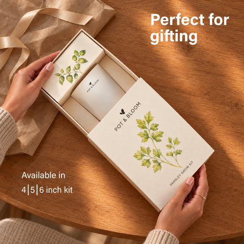 Parsley Grow Kit