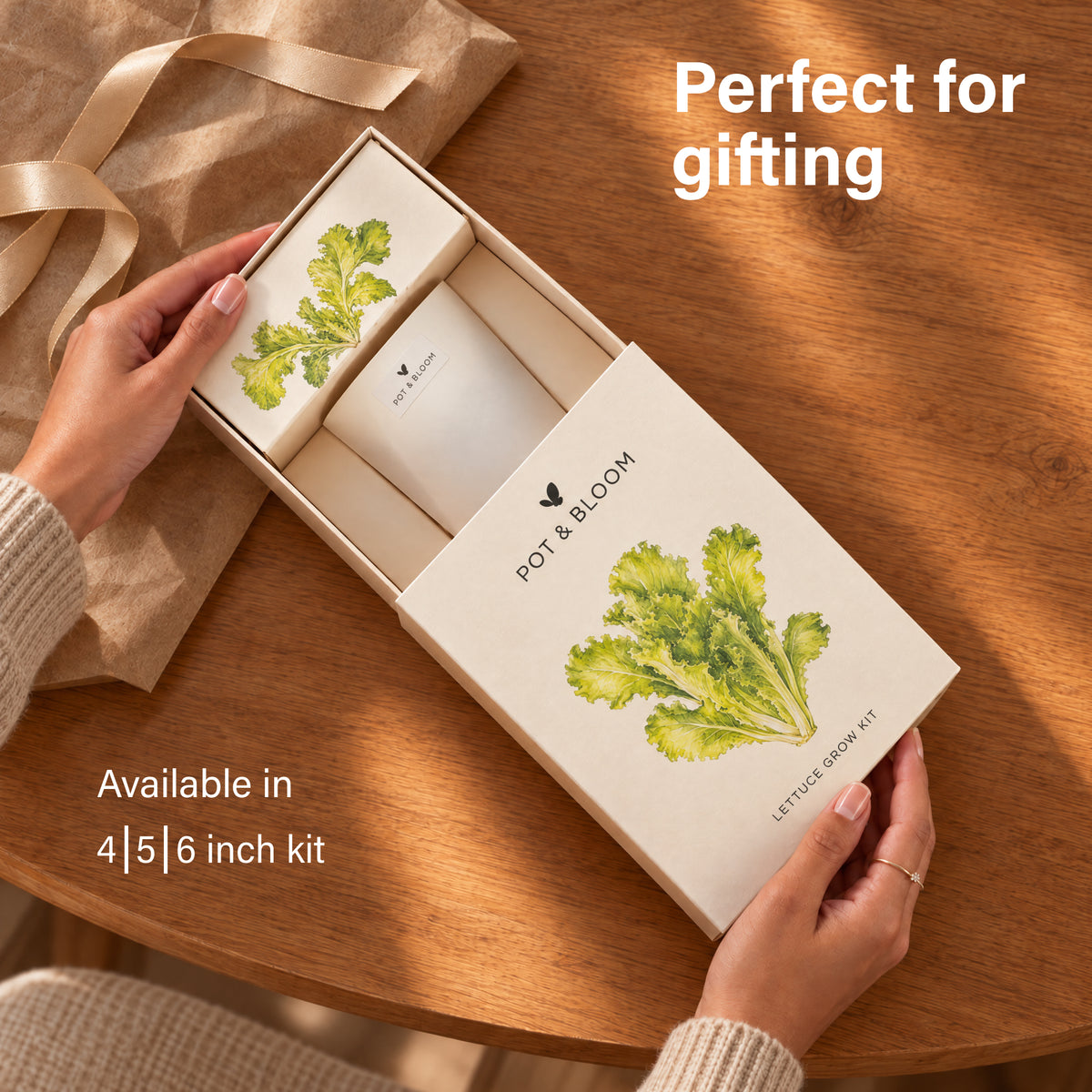 Lettuce Grow Kit