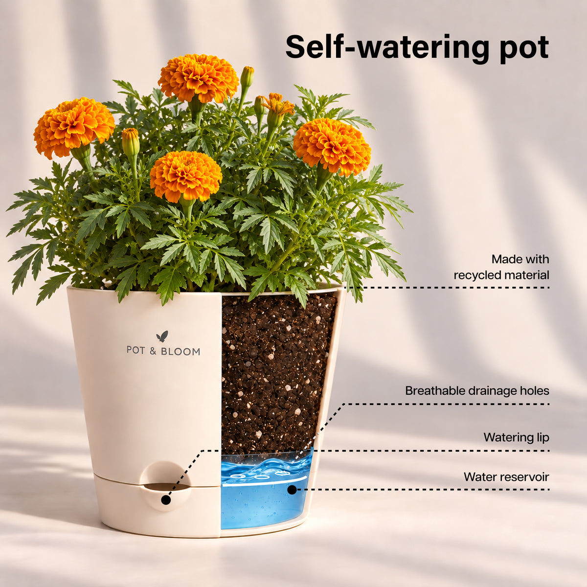 Marigold Grow Kit