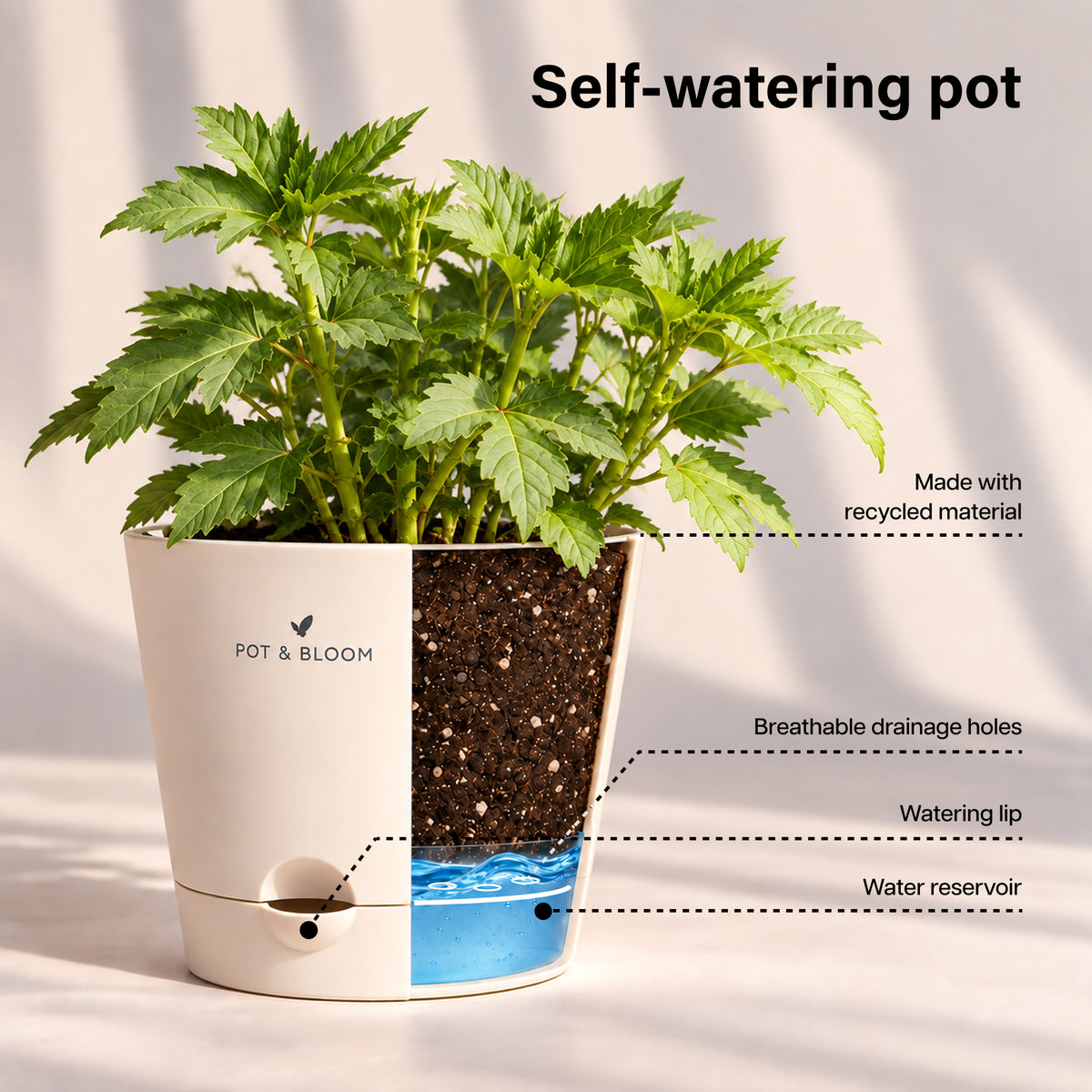 Okra Grow Kit