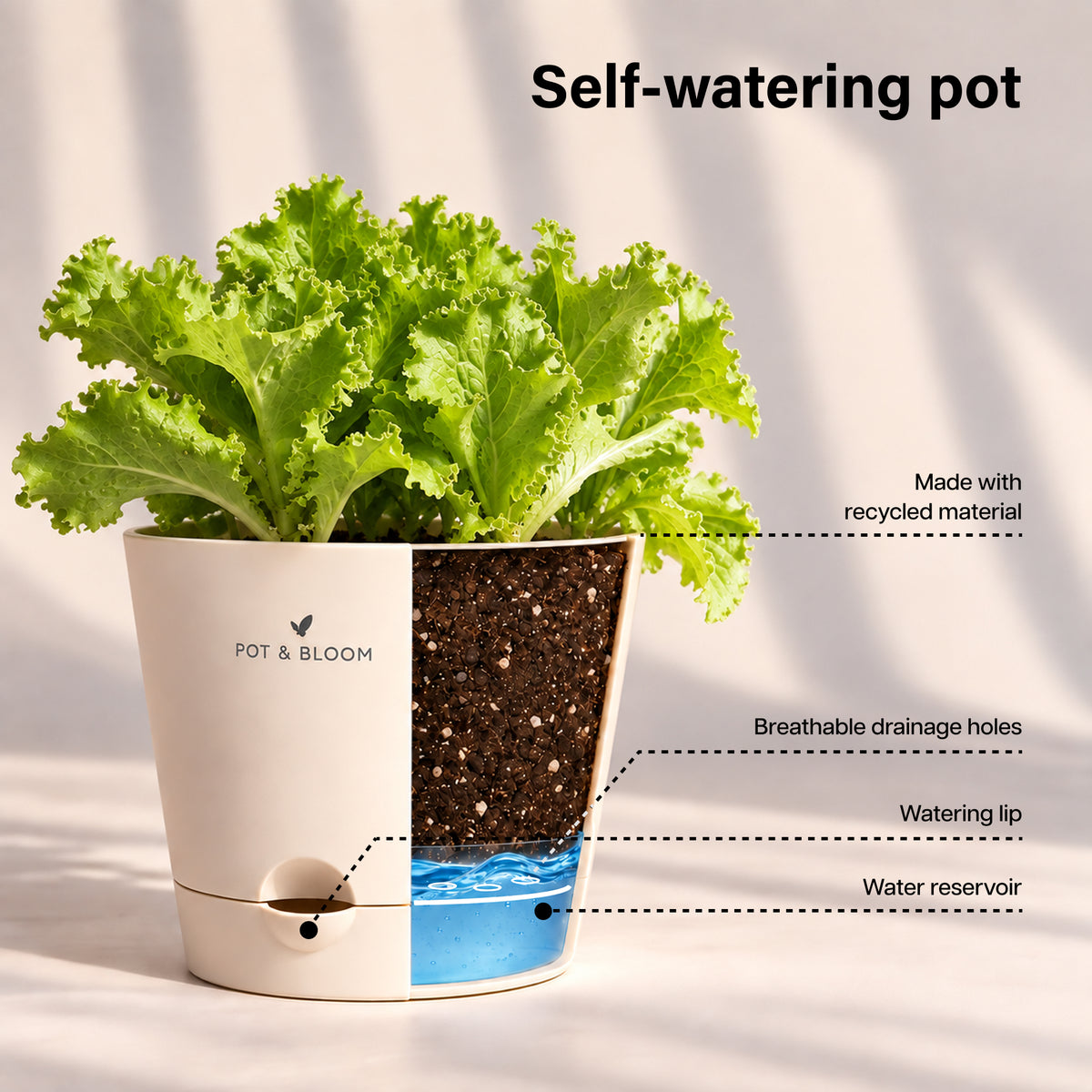 Lettuce Grow Kit