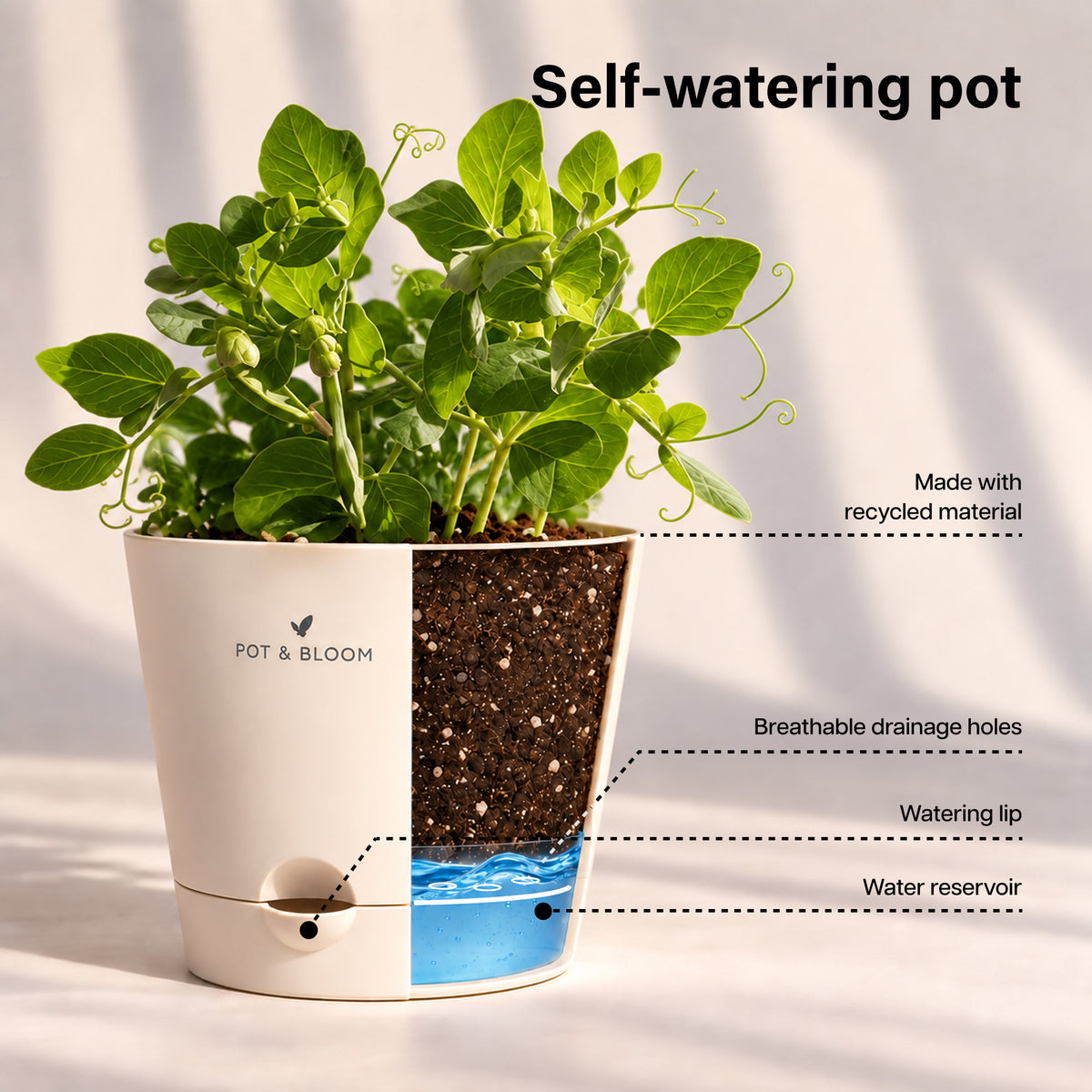 Peas Grow Kit