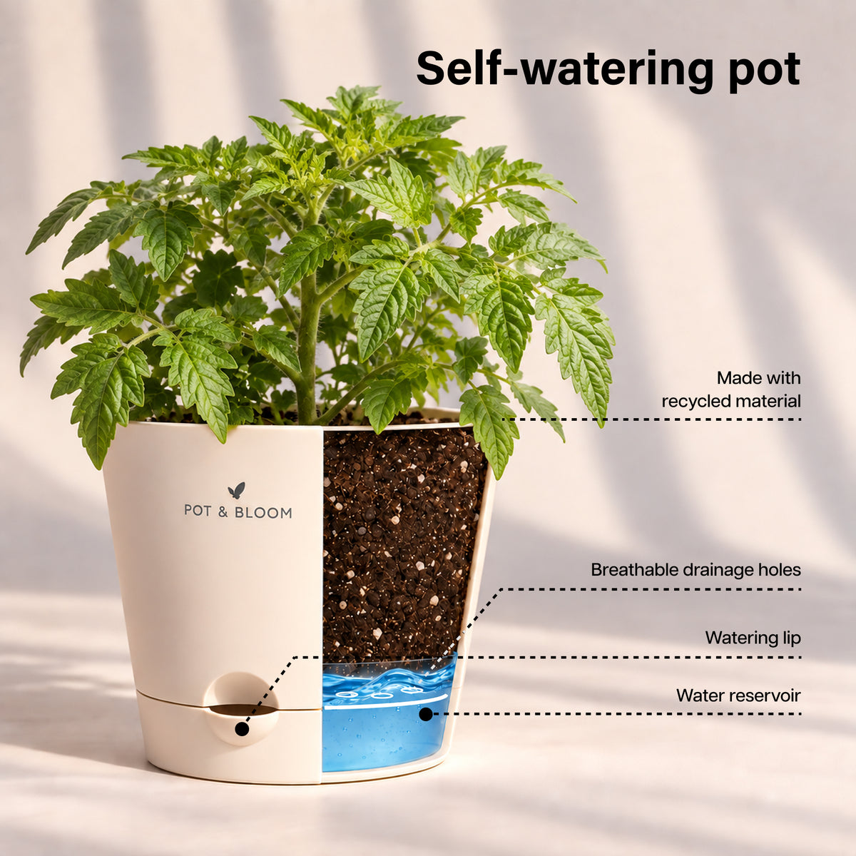 Cherry Tomato Grow Kit