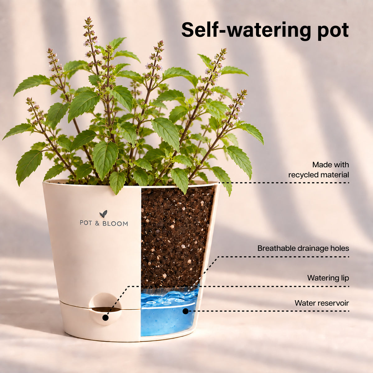 Tulsi Grow Kit