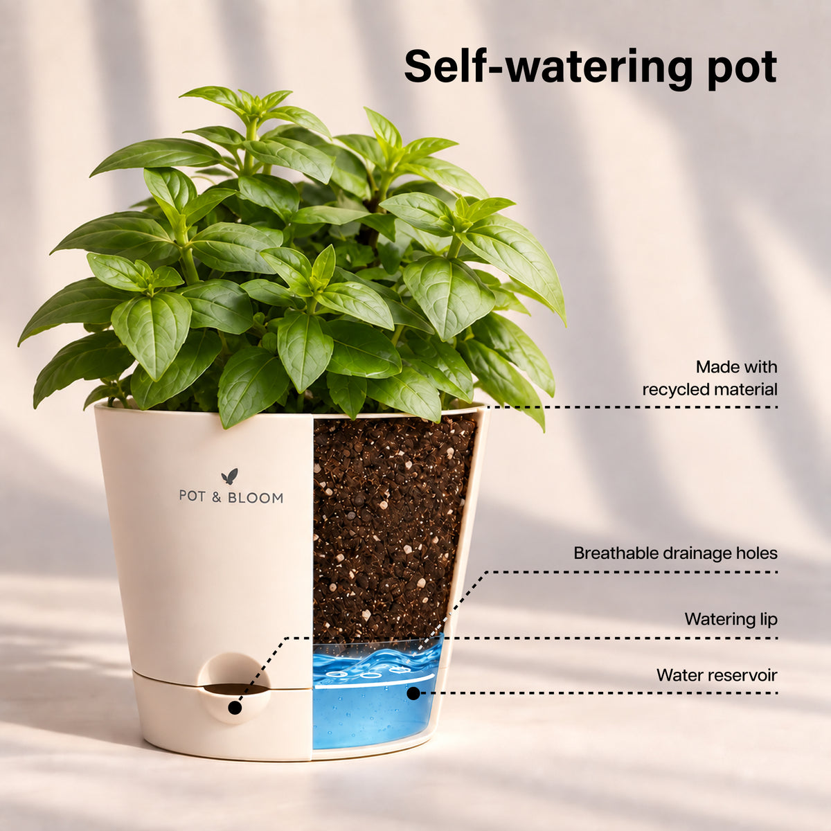 Zinnia Grow Kit