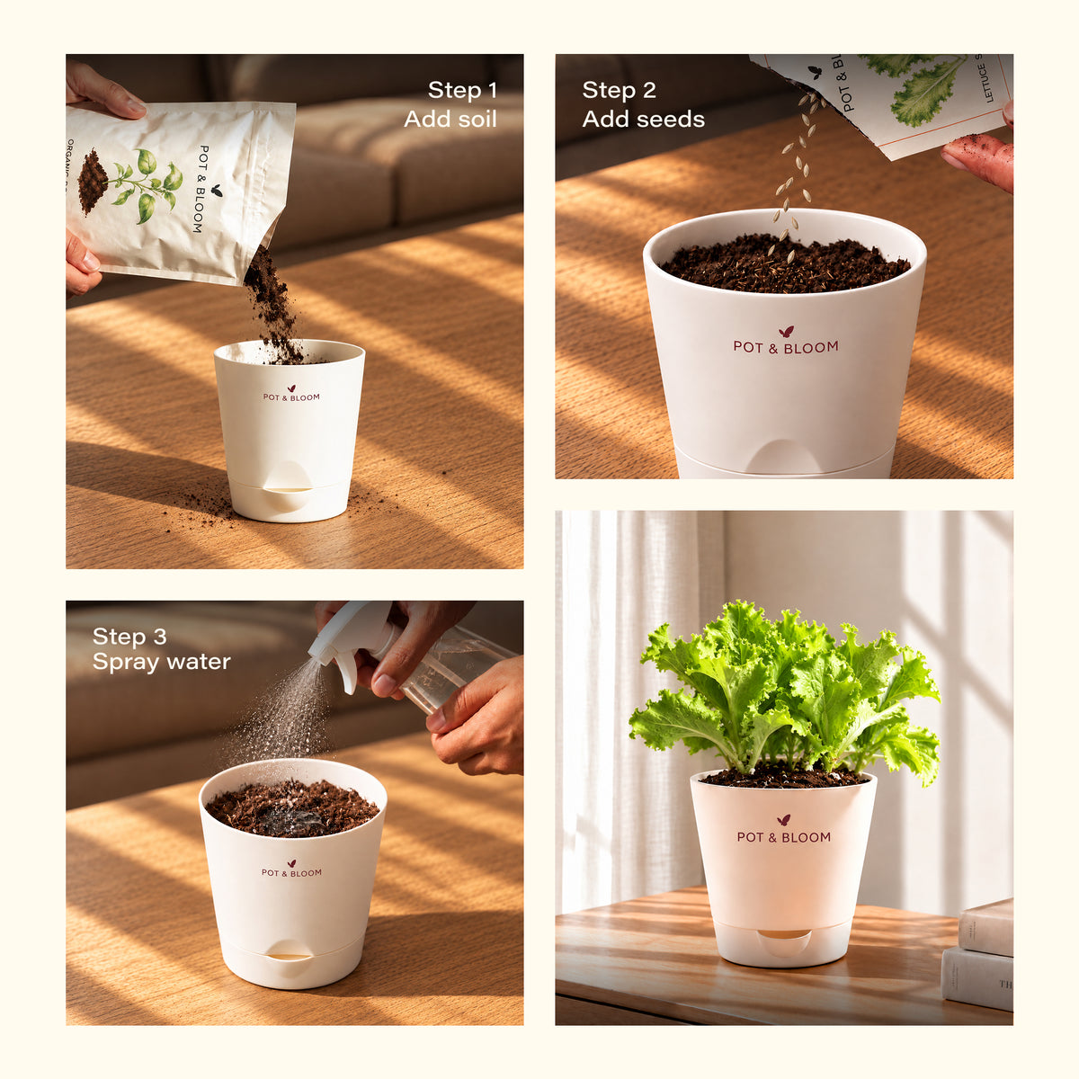 Lettuce Grow Kit